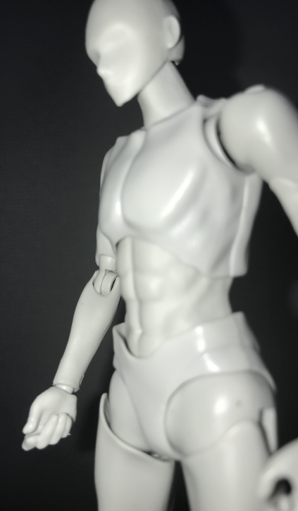 S.H.Figuartsボディくん（宝井理人）/ボディちゃん（矢吹健太朗
